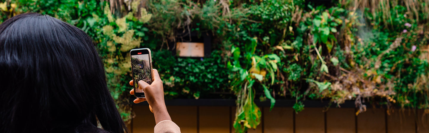 Frau fotografiert mit Smartphone eine begrünte Fassade in der Stadt; urbane Fassadenbegrünung als Beispiel für nachhaltige Smart-City-Lösungen, digitale Stadtentwicklung und innovative Ansätze für Klimaanpassung, Energieeffizienz und KI-gestützte Quartiersgestaltung.