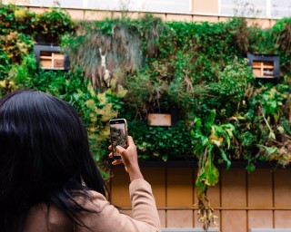 Frau fotografiert mit Smartphone eine begrünte Fassade in der Stadt; urbane Fassadenbegrünung als Beispiel für nachhaltige Smart-City-Lösungen, digitale Stadtentwicklung und innovative Ansätze für Klimaanpassung, Energieeffizienz und KI-gestützte Quartiersgestaltung.